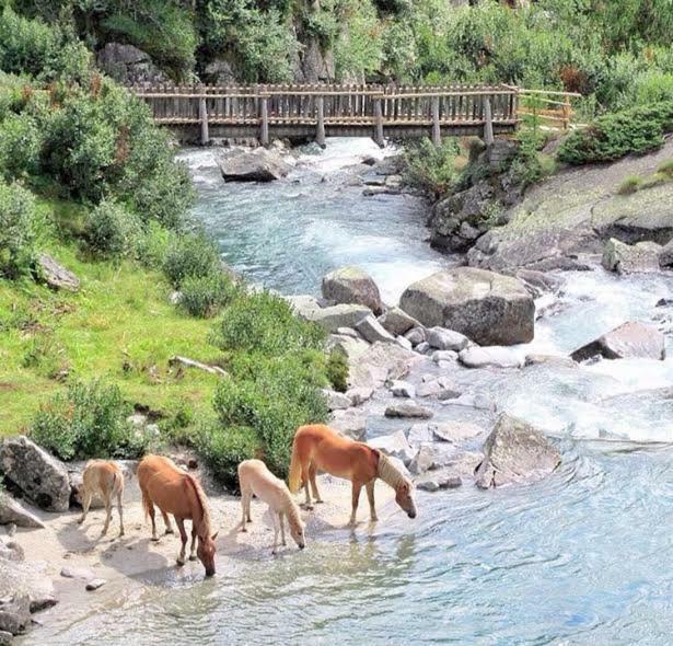 Affittacamere Da Silvia Santa Barbara  Bagian luar foto